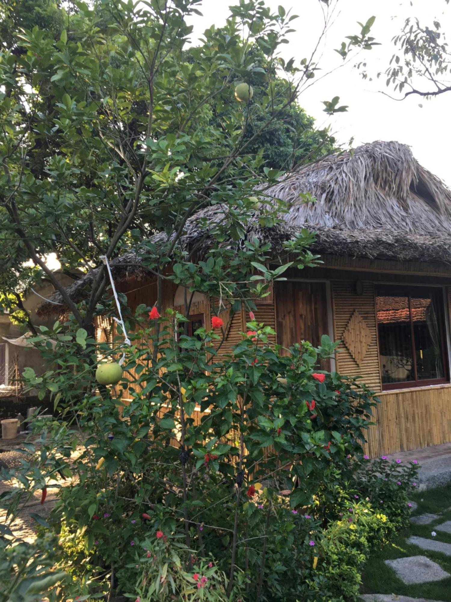 Tam Coc Palm House Ninh Binh Exterior foto